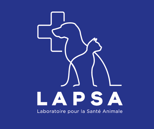 LAPSA